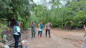 Jalan Sehat 2024